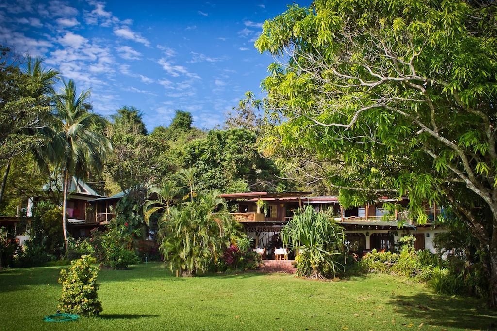 Hotel Amor De Mar Montezuma Extérieur photo